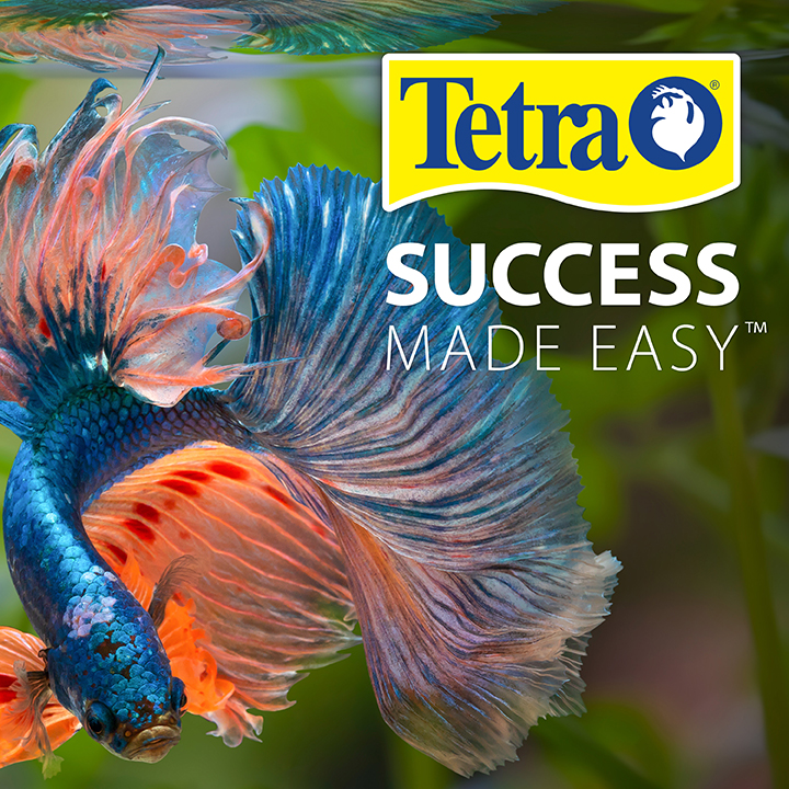 Algae tablets for fish tank hotsell